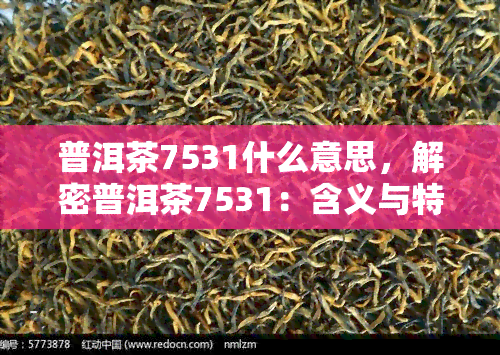 普洱茶7531什么意思，解密普洱茶7531：含义与特点