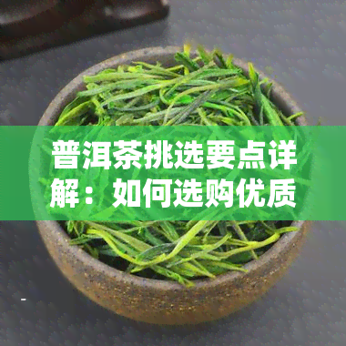 普洱茶挑选要点详解：如何选购优质普洱茶？