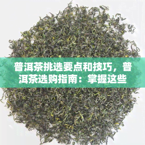 普洱茶挑选要点和技巧，普洱茶选购指南：掌握这些要点和技巧，轻松挑出好茶！