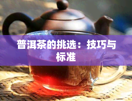 普洱茶的挑选：技巧与标准