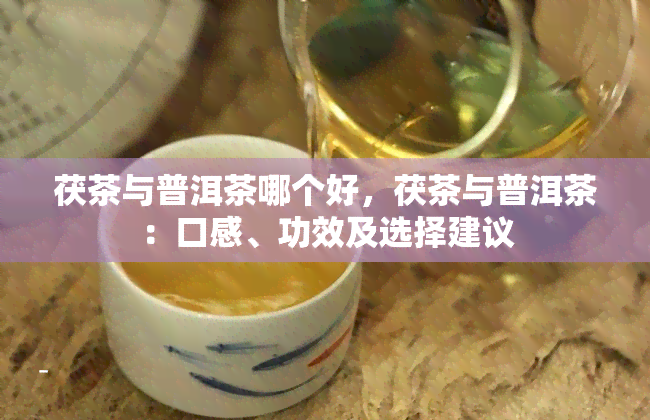 茯茶与普洱茶哪个好，茯茶与普洱茶：口感、功效及选择建议