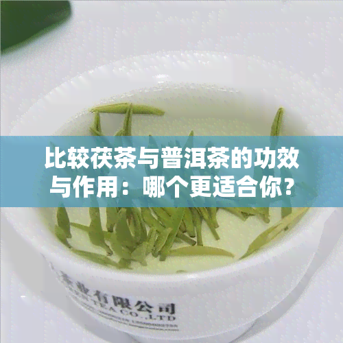 比较茯茶与普洱茶的功效与作用：哪个更适合你？