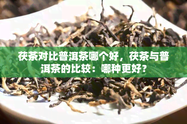 茯茶对比普洱茶哪个好，茯茶与普洱茶的比较：哪种更好？