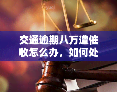 交通逾期八万遭催收怎么办，如何处理交通逾期八万的催收问题？