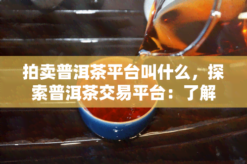 拍卖普洱茶平台叫什么，探索普洱茶交易平台：了解拍卖普洱茶的热门平台