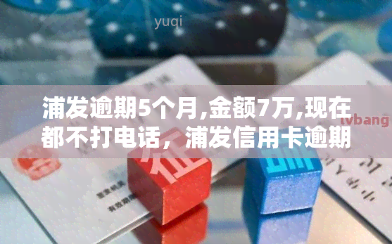 浦发逾期5个月,金额7万,现在都不打电话，浦发信用卡逾期五个月，金额达七万元，银行停止催收