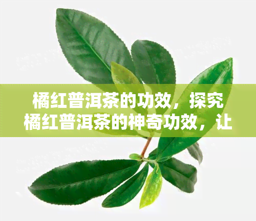 橘红普洱茶的功效，探究橘红普洱茶的神奇功效，让你健又美丽！