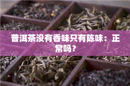 普洱茶没有香味只有陈味：正常吗？