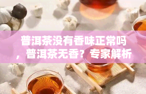 普洱茶没有香味正常吗，普洱茶无香？专家解析为何正常