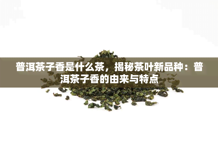 普洱茶子香是什么茶，揭秘茶叶新品种：普洱茶子香的由来与特点