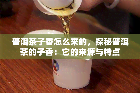 普洱茶子香怎么来的，探秘普洱茶的子香：它的来源与特点