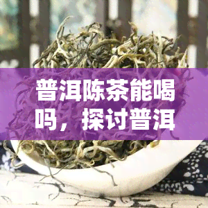 普洱陈茶能喝吗，探讨普洱陈茶的饮用价值：能否安心品尝？