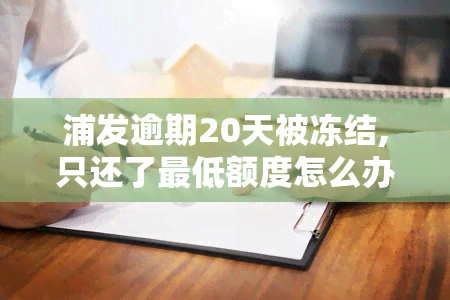 浦发逾期20天被冻结,只还了更低额度怎么办，浦发信用卡逾期20天，账户被冻结，仅还更低额度如何处理？