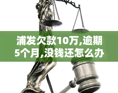 浦发欠款10万,逾期5个月,没钱还怎么办，浦发银行欠款10万逾期5个月，无钱偿还应该怎么办？