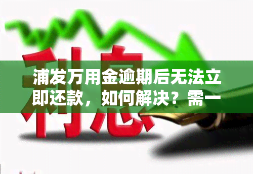 浦发万用金逾期后无法立即还款，如何解决？需一次性结清的时间是多久？