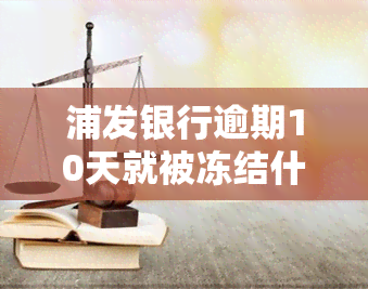 浦发银行逾期10天就被冻结什么意思，浦发银行：逾期10天即被冻结，了解你的权利和责任