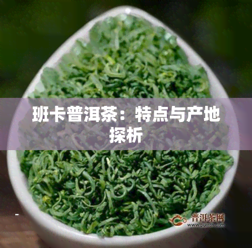 班卡普洱茶：特点与产地探析