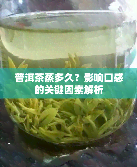 普洱茶蒸多久？影响口感的关键因素解析