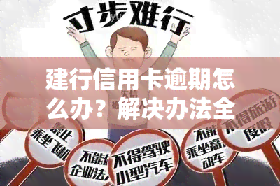 建行信用卡逾期怎么办？解决办法全攻略！