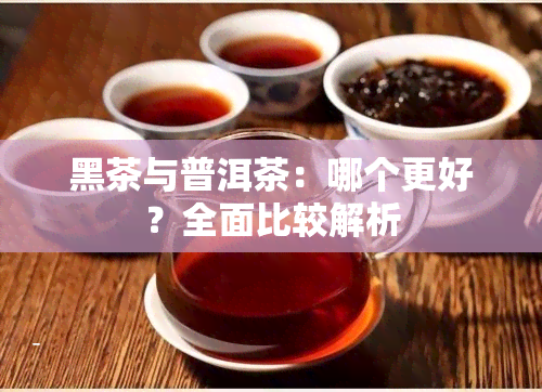 黑茶与普洱茶：哪个更好？全面比较解析