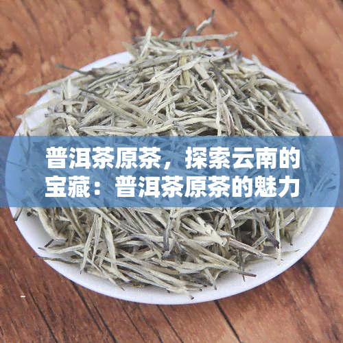 普洱茶原茶，探索云南的宝藏：普洱茶原茶的魅力与故事