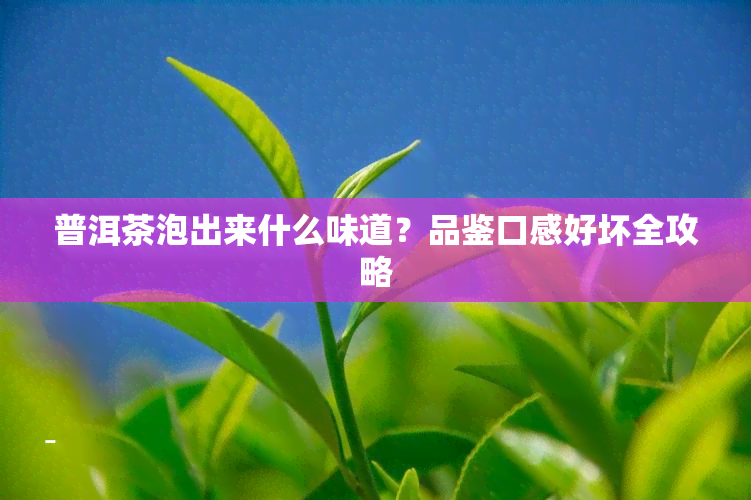 普洱茶泡出来什么味道？品鉴口感好坏全攻略