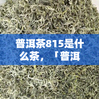 普洱茶815是什么茶，「普洱茶815」：一种备受推崇的茶叶品种