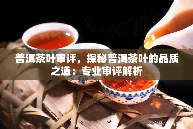 普洱茶叶审评，探秘普洱茶叶的品质之道：专业审评解析