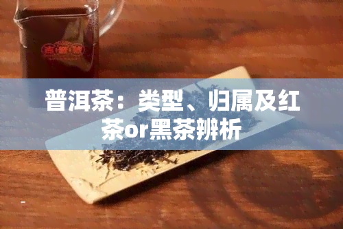 普洱茶：类型、归属及红茶or黑茶辨析