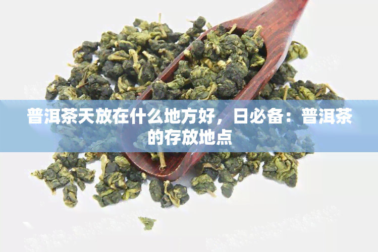 普洱茶天放在什么地方好，日必备：普洱茶的存放地点