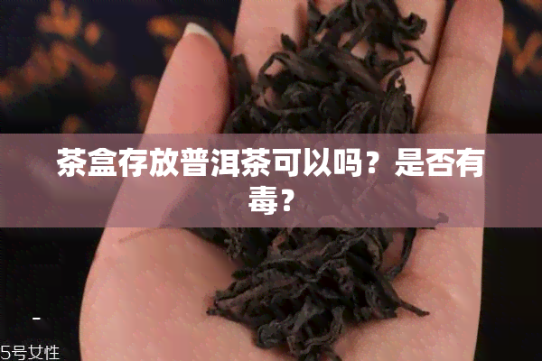 茶盒存放普洱茶可以吗？是否有毒？