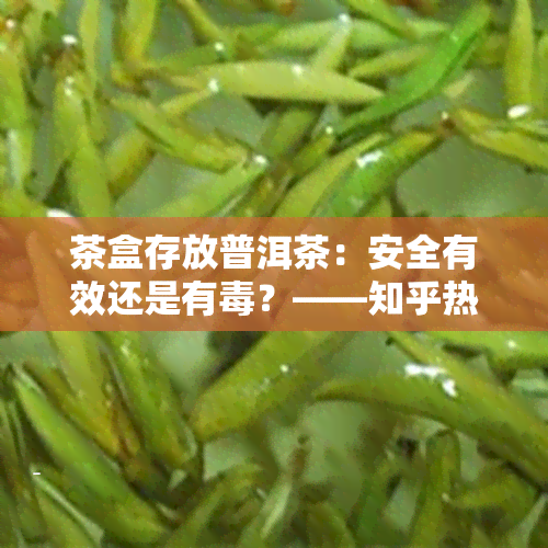 茶盒存放普洱茶：安全有效还是有毒？——知乎热议