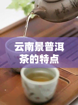 云南景普洱茶的特点，探秘云南景普洱茶的独特魅力