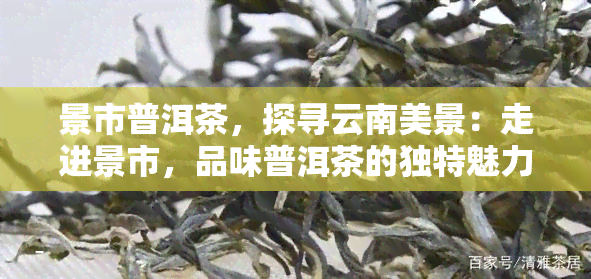 景市普洱茶，探寻云南美景：走进景市，品味普洱茶的独特魅力