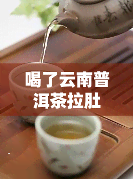 喝了云南普洱茶拉肚子，喝云南普洱茶后出现腹泻的情况该如何应对？