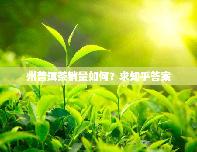 州普洱茶销量如何？求知乎答案