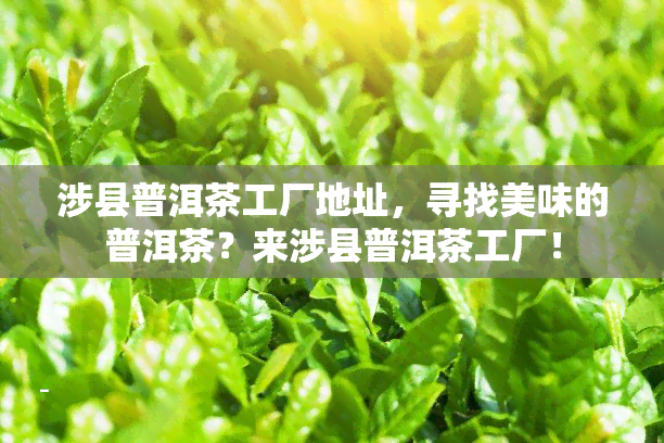 涉县普洱茶工厂地址，寻找美味的普洱茶？来涉县普洱茶工厂！