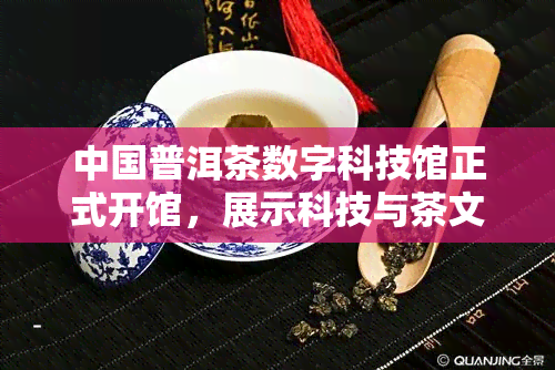 中国普洱茶数字科技馆正式开馆，展示科技与茶文化的完美融合
