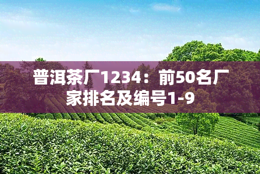 普洱茶厂1234：前50名厂家排名及编号1-9