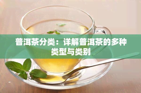 普洱茶分类：详解普洱茶的多种类型与类别