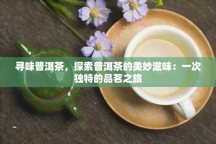 寻味普洱茶，探索普洱茶的美妙滋味：一次独特的品茗之旅