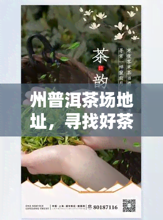 州普洱茶场地址，寻找好茶？州普洱茶场地址全攻略！