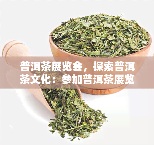 普洱茶展览会，探索普洱茶文化：参加普洱茶展览会，一睹中国茶叶的魅力