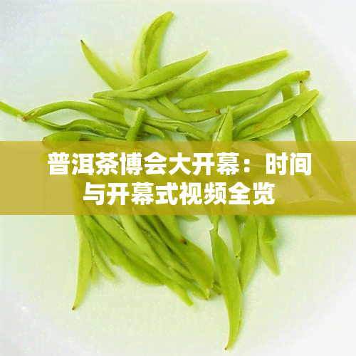 普洱茶博会大开幕：时间与开幕式视频全览