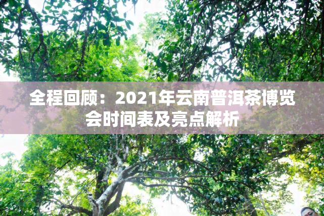 全程回顾：2021年云南普洱茶博览会时间表及亮点解析