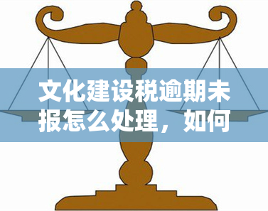 文化建设税逾期未报怎么处理，如何应对文化建设税逾期未报的情况？