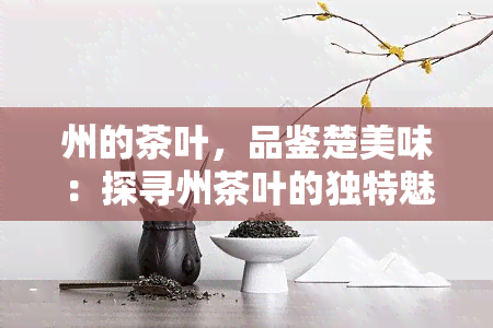 州的茶叶，品鉴楚美味：探寻州茶叶的独特魅力