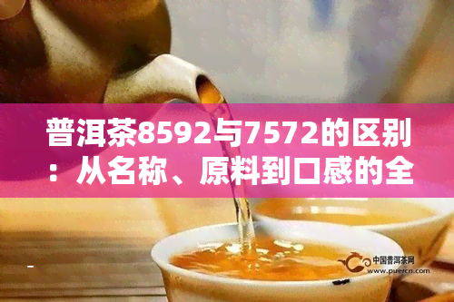 普洱茶8592与7572的区别：从名称、原料到口感的全面解析