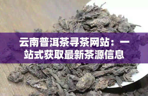 云南普洱茶寻茶网站：一站式获取最新茶源信息