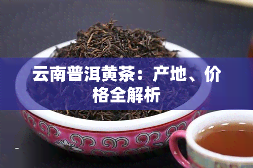 云南普洱黄茶：产地、价格全解析